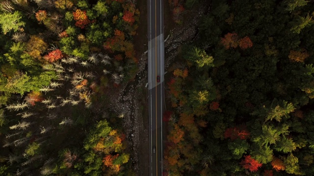 秋天的道路鸟瞰图视频素材