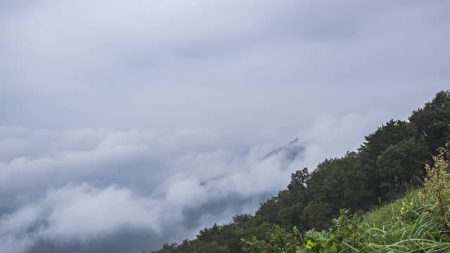 韩国江原道，Bongnaesan山/ yeongwal -gun上的云海视频素材