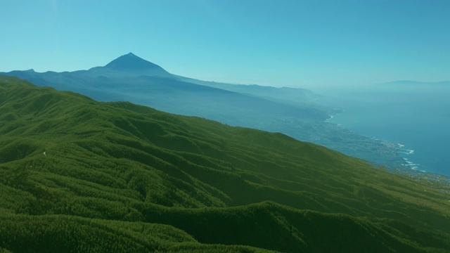 鸟瞰图。特内里费岛上茂密的松树林以泰德火山为背景视频素材