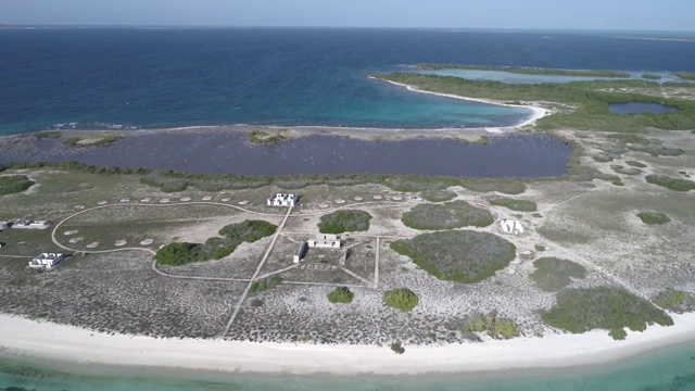 加勒比海热带岛屿上的古代建筑废墟，因时间的流逝而被摧毁视频素材