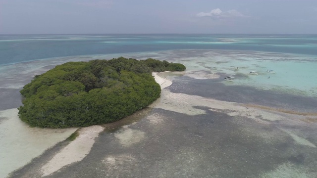 360度视野红树林礁周围的绿松石水在加勒比海视频素材