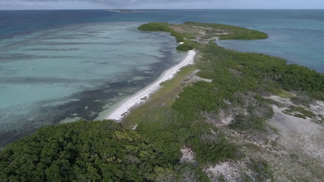 空中景观热带海滩礁和加勒比海浅绿色水域视频素材