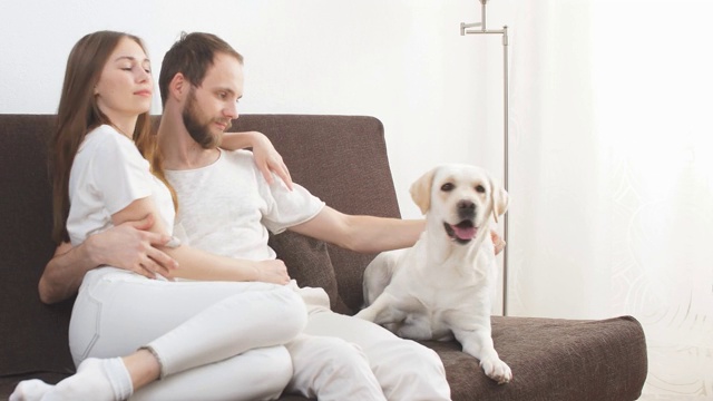 幸福的白人夫妇和狗坐在沙发上视频素材