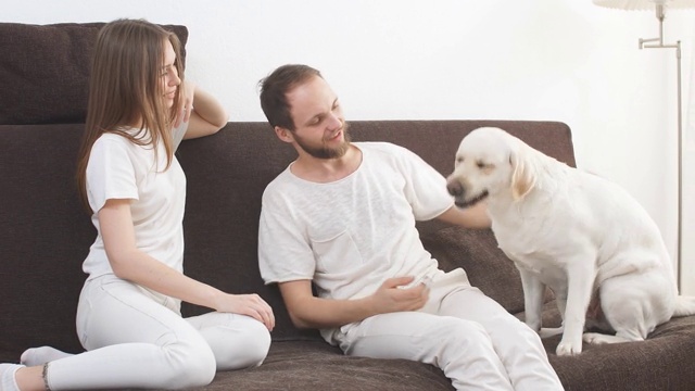 幸福的白人夫妇和他们的宠物，白色的狗坐在沙发上视频素材