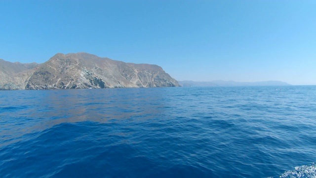 海豚游过卡特琳娜岛海岸视频下载