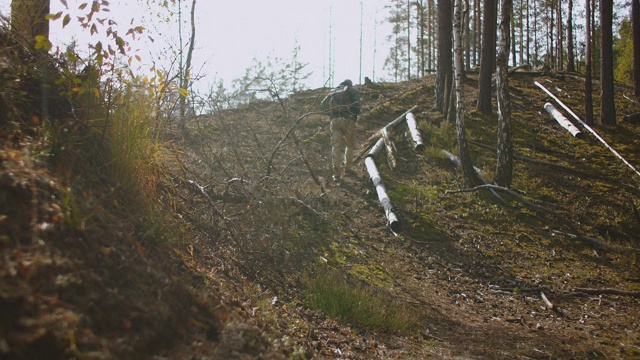 一个人在秋日阳光明媚的森林里，背着背包爬上山坡，在森林里独自旅行和露营视频素材