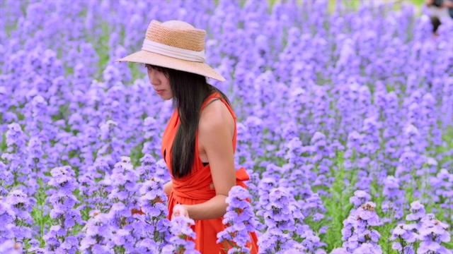 在田野里甜蜜视频素材