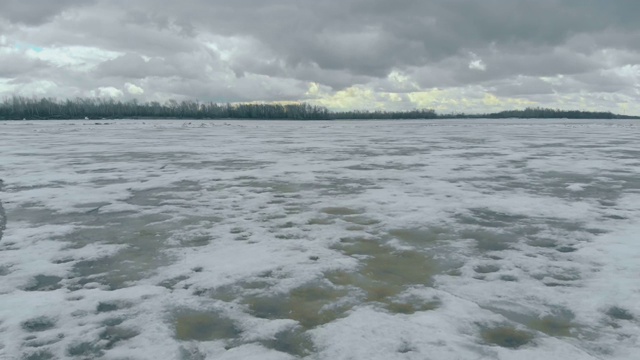 在茂密的森林里，半冻的河被积雪覆盖着视频素材