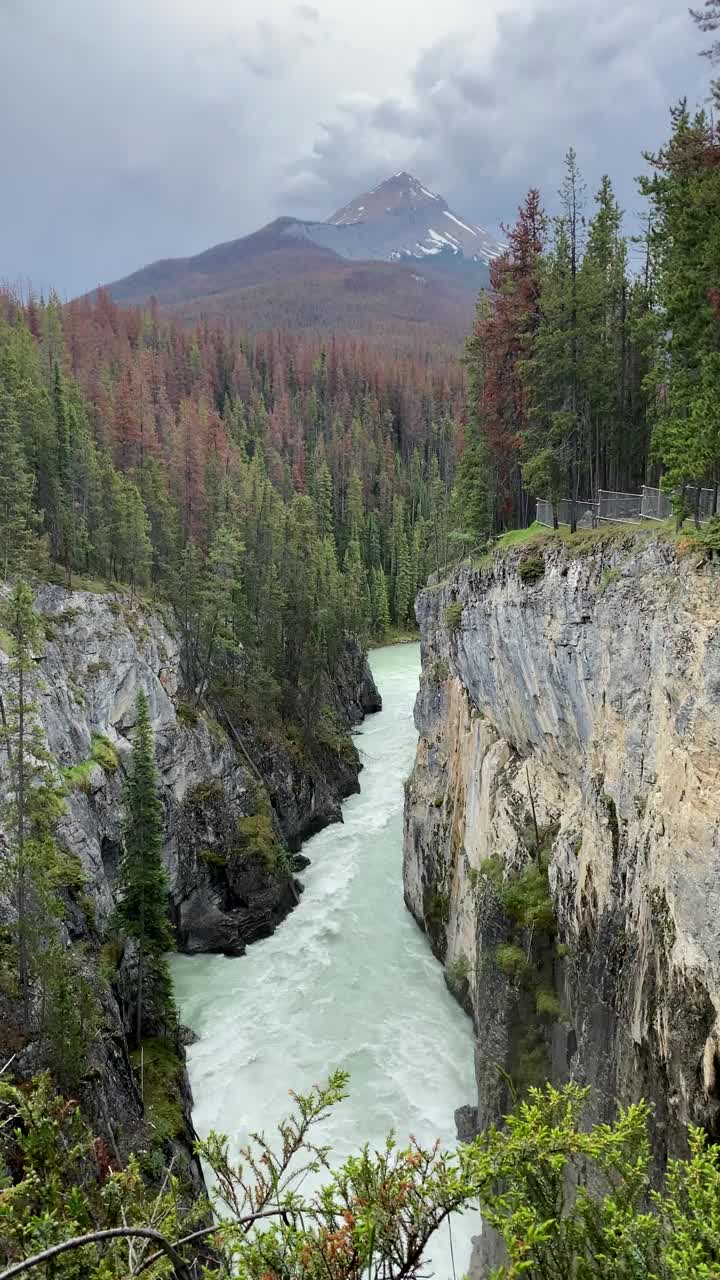 垂直视频Sunwapta瀑布在阴天苏美尔，贾斯珀，阿尔伯塔，加拿大视频素材