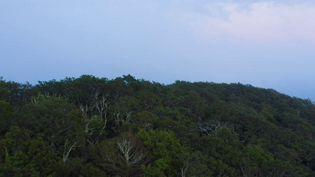 普莱森特峰-阿默斯特县，弗吉尼亚-空中-夏天视频素材