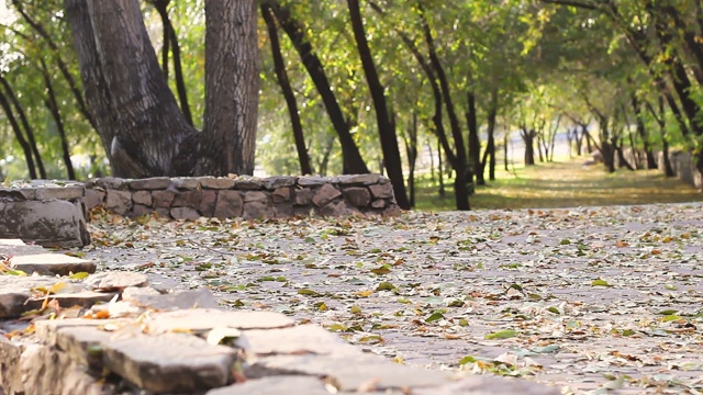 近景石砌步道，在秋季公园与小巷，安静宁静的荒芜之地，长时间懒人漫步视频素材