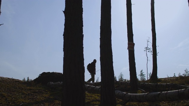 在清澈的蓝天、自然和人类的映衬下，背包和棍棒徒步旅行者的剪影视频素材