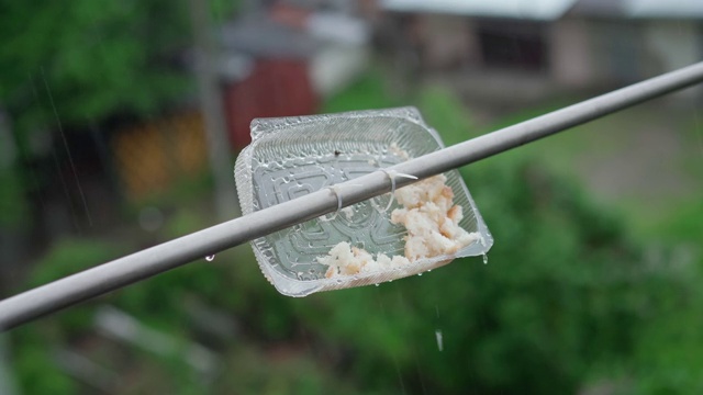 雨中的喂鸟器视频素材