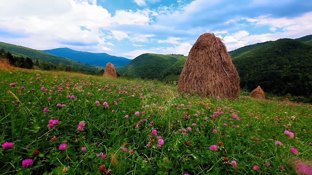 夏季山景慢动作视频素材