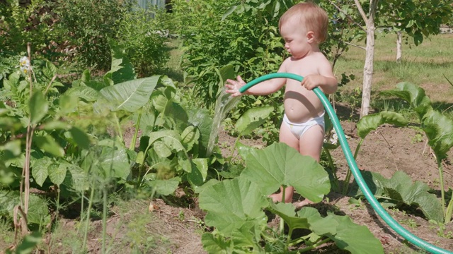 小女孩在给植物和花浇水视频素材