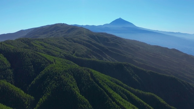 鸟瞰图。特内里费岛上茂密的松树林以泰德火山为背景视频素材