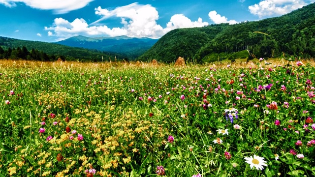 夏季山地景观，4K HDR视频素材