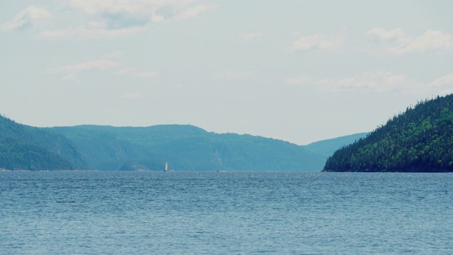 阳光明媚的峡湾风景，山上有树视频素材