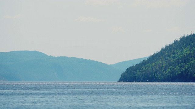 风景优美的峡湾从海岸与山与树的背景视频素材