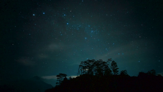 夜晚的时间，森林中的星空。树木之间可见银河。云很快就过去了。闪亮的星星在右边移动。蓝色的颜色。极光视频素材