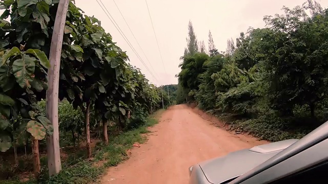 开车在山上旅行视频素材