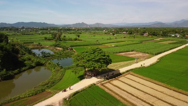 空中俯瞰农田，稻田，鱼塘和其他种植园。视频素材