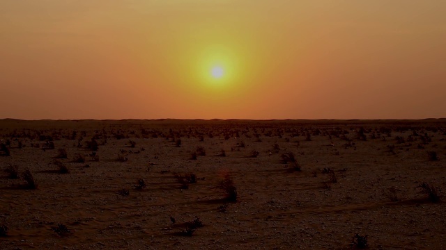 Deseet Safari在日落天际线在阿布扎比视频下载