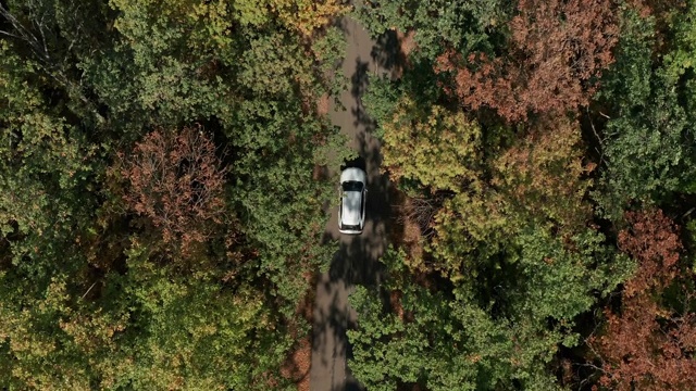 空中鸟瞰图白色汽车行驶在森林的乡村道路上。视频素材