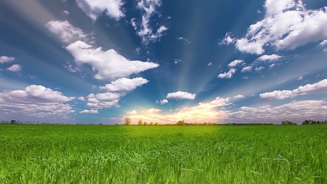 夕阳背景下的草地视频素材