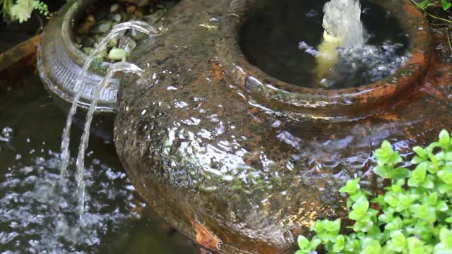 水珠落在花园里视频素材