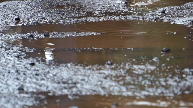 人们走在被洪水淹没的道路上视频素材