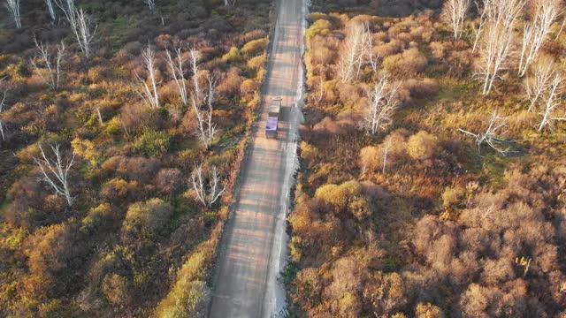 鸟瞰图卡车在美丽的秋天的阿尔泰森林道路上视频素材