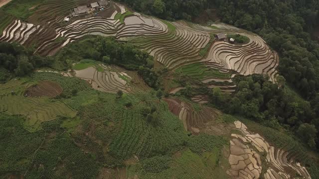 越南沙帕的大米泰伦斯视频素材