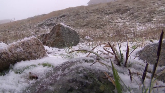 飘落的雪花视频素材