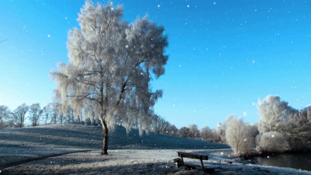 冬天的风景和飘落的雪视频素材