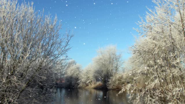 冬天的风景和飘落的雪视频素材