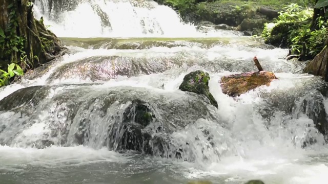 在夏季的热带森林里，阳光照射下的绿色植物，淡水从长满苔藓的岩石上快速流动。视频素材