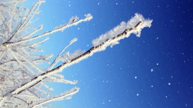 冬天的风景和飘落的雪视频素材