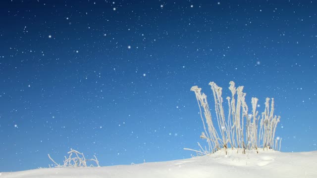 冬天的风景和飘落的雪视频素材