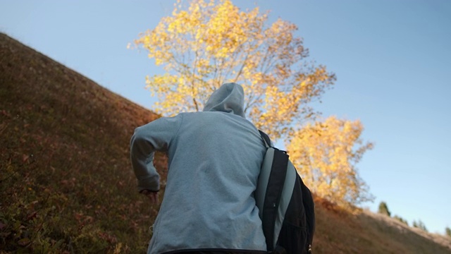 一个嬉皮登山者背着他的背包在森林里爬一个陡峭的斜坡，自然和生活方式的概念视频素材