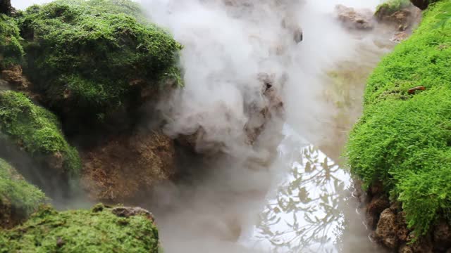 热带花园白烟试验视频素材