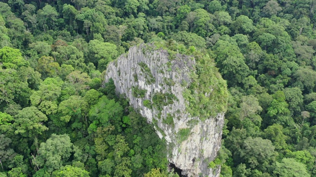 Batu Punggul的鸟瞰图，是一个丛林顶部的石灰岩露头，上面布满了洞穴，高耸在Sapulut河上近200米。婆罗洲热带雨林。视频下载