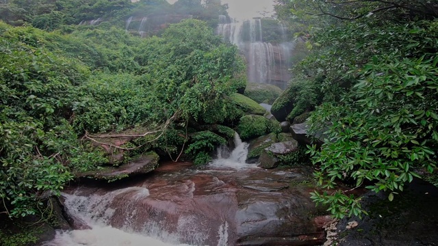 美丽的雨林瀑布视频素材