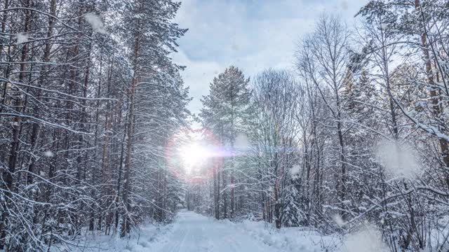 这是一个冬季的场景动画，汽车在积雪覆盖的道路上缓慢行驶，树叶从树上轻轻飘落。视频循环视频素材