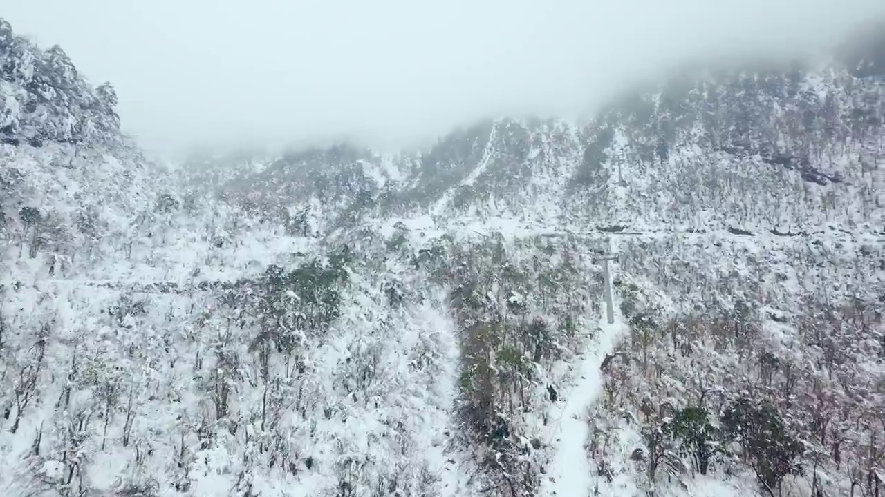 乘缆车爬上山顶。中国四川成都西岭雪山滑雪场的绳索道。空中跟踪无人机视图。上升到顶部进入薄雾中。视频下载