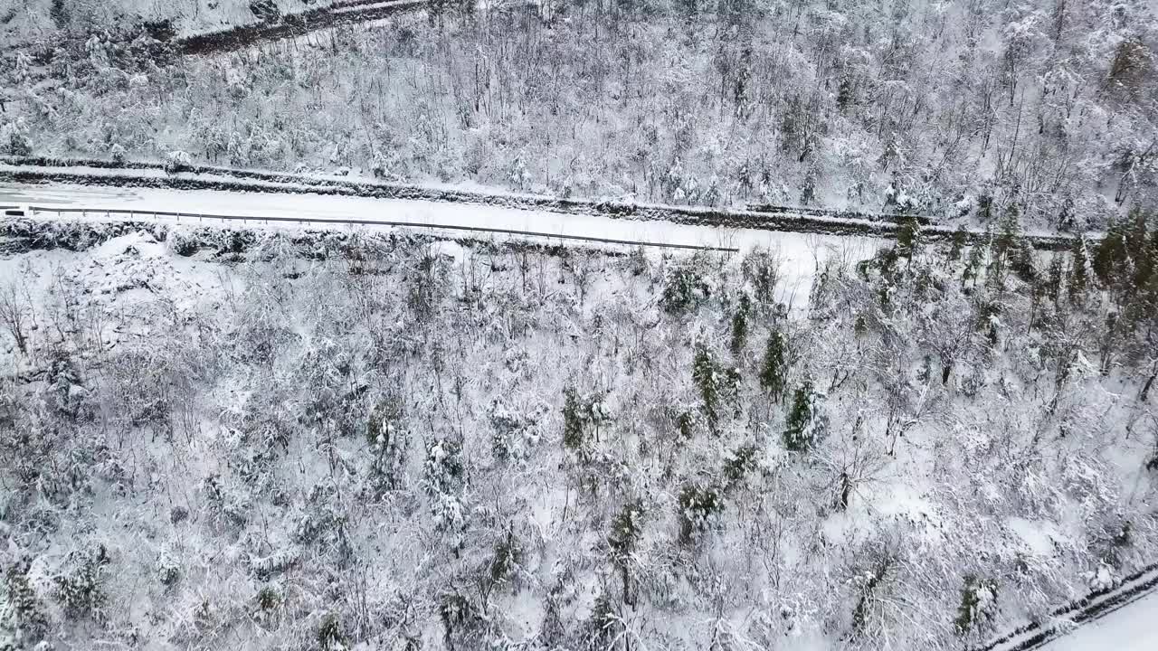 鸟瞰图弯曲的山路上山穿过松树和其他树木覆盖在冬天的雪。山在四川西岭。视频素材