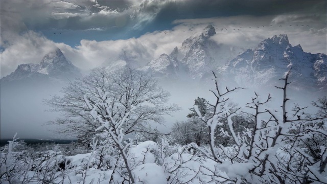 冬季景色与霜冻的时间流逝，落基山脉，怀俄明州视频素材