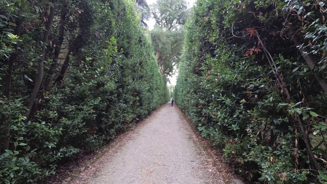 意大利佛罗伦萨Giardino di Boboli的空巷视频素材