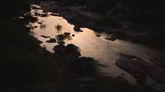 河边美丽的日落风景。在印度库奇bhuj的Khari河视频素材