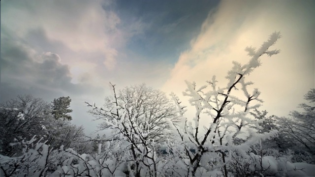 冬季景色与霜冻的时间流逝，落基山脉，怀俄明州视频素材